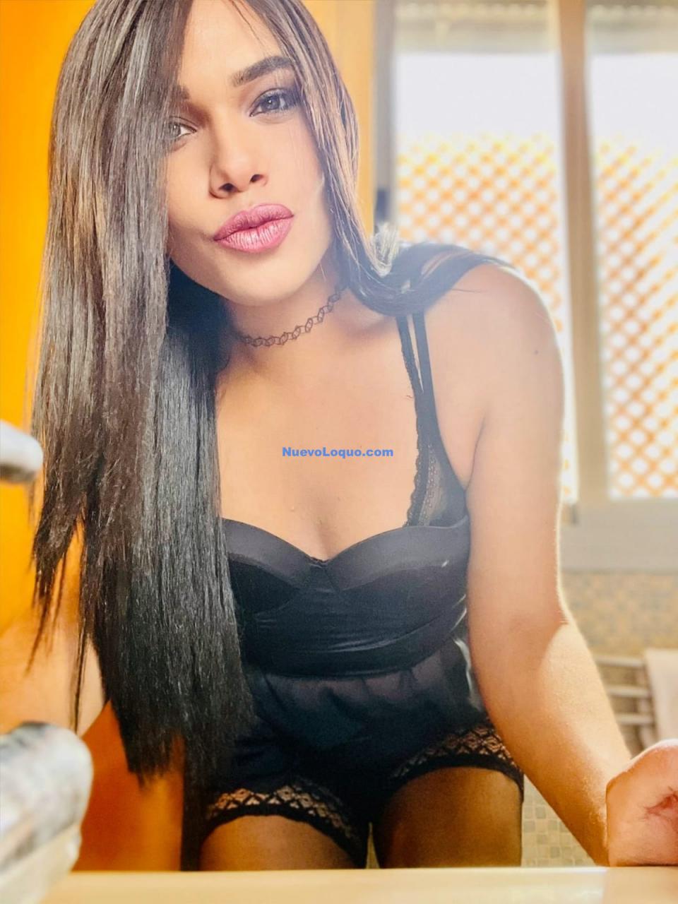NuevoLoquo3