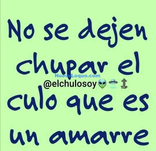 NuevoLoquo5