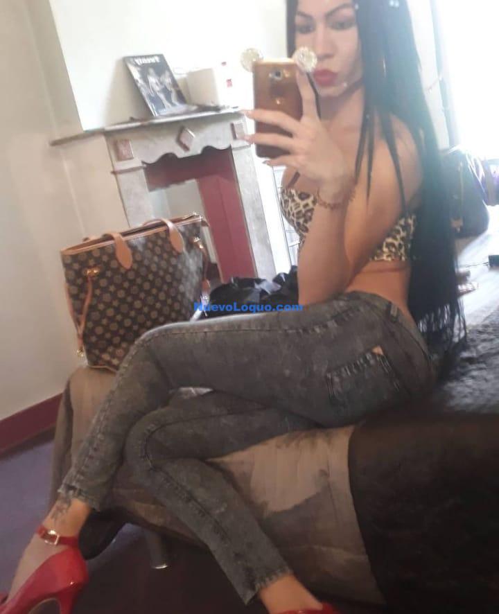 NuevoLoquo2