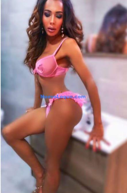 NuevoLoquo3