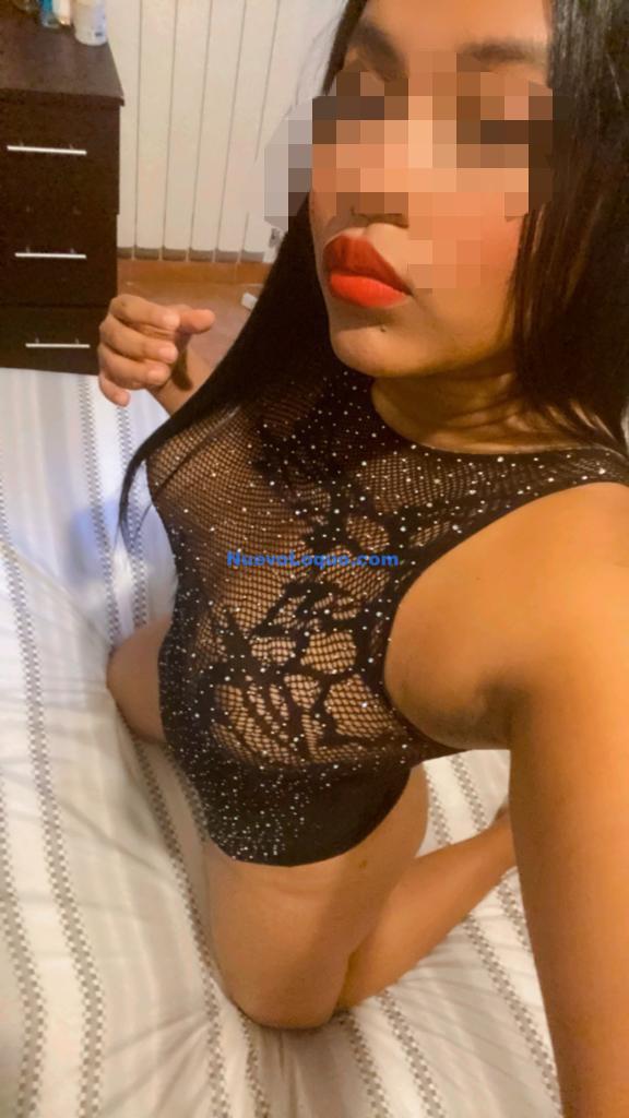 NuevoLoquo3