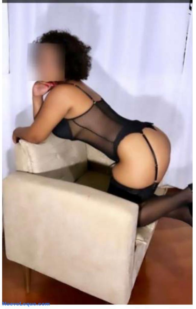 NuevoLoquo2