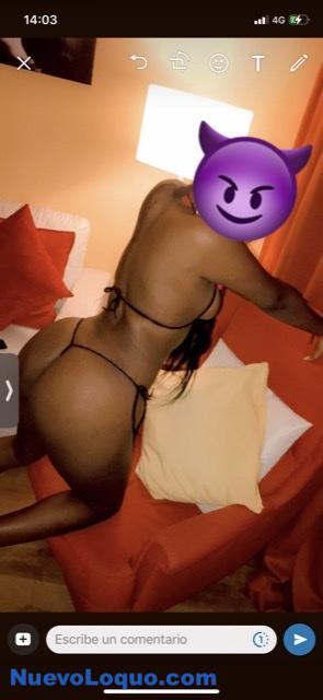 NuevoLoquo1