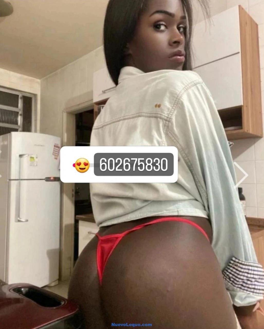 NuevoLoquo4