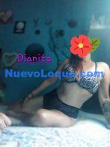 NuevoLoquo1