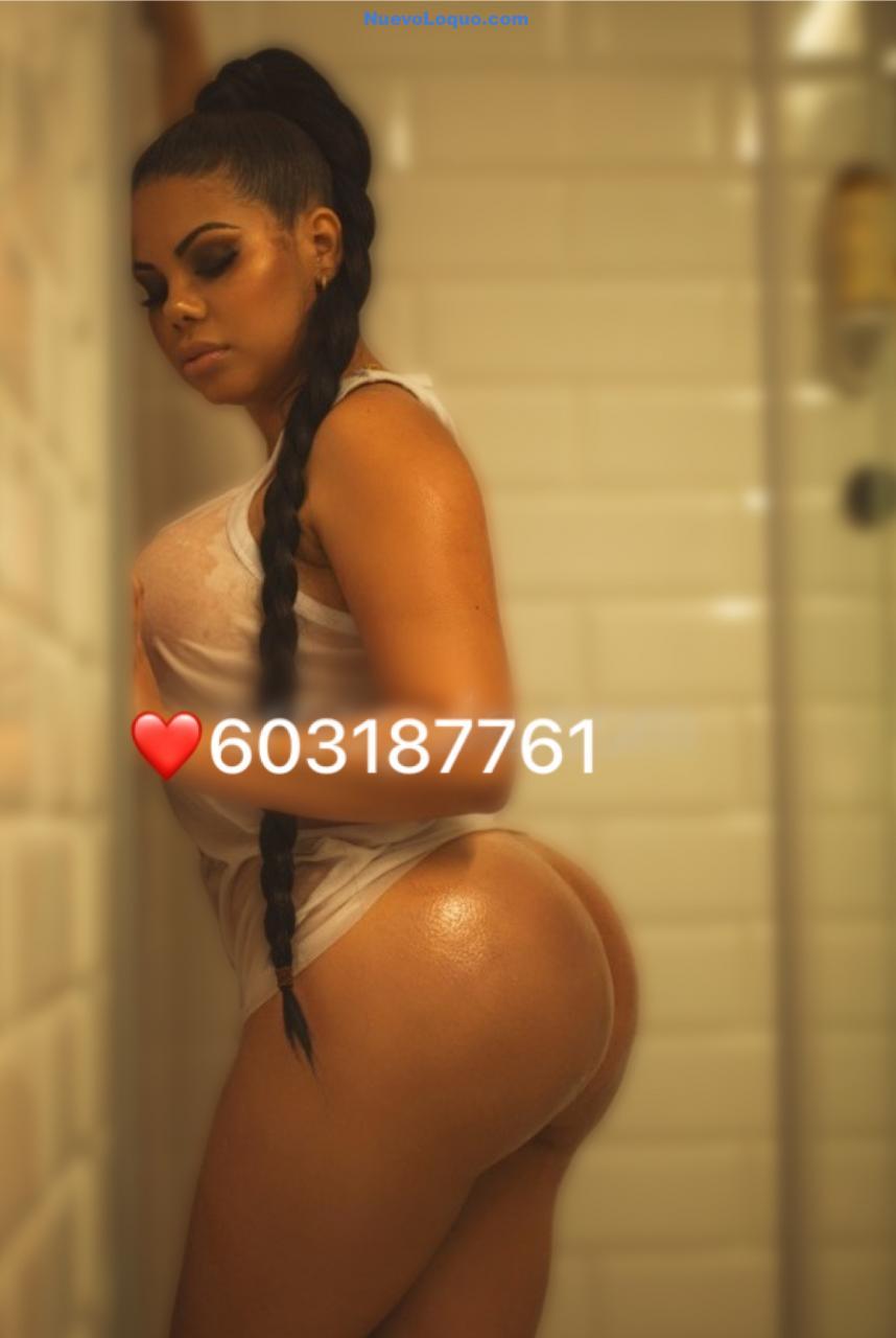 NuevoLoquo2