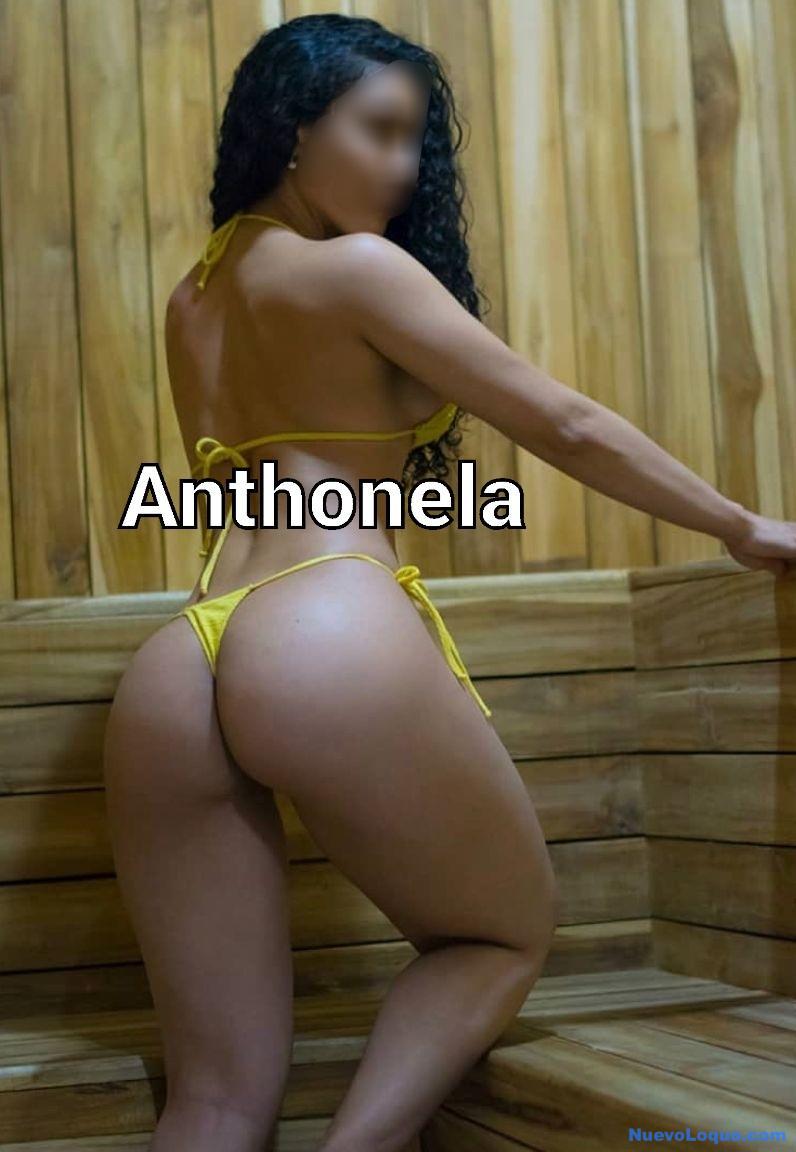 NuevoLoquo3