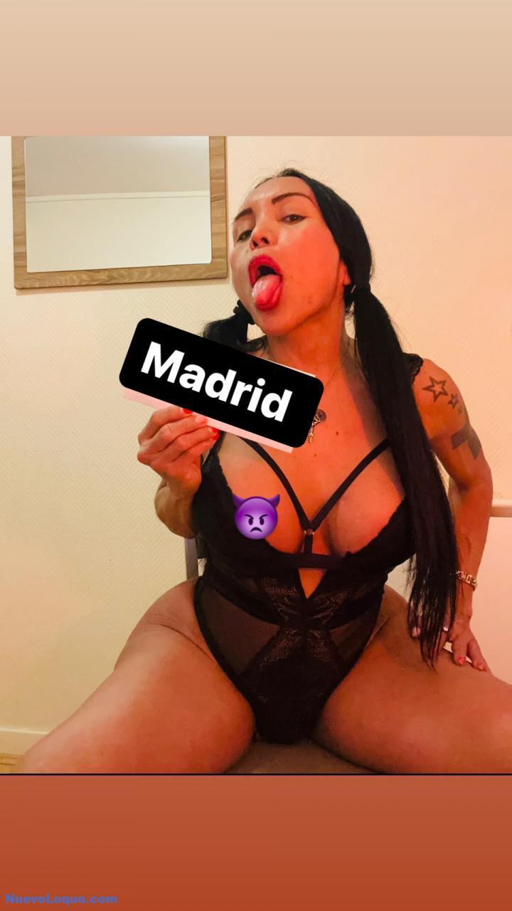 NuevoLoquo4