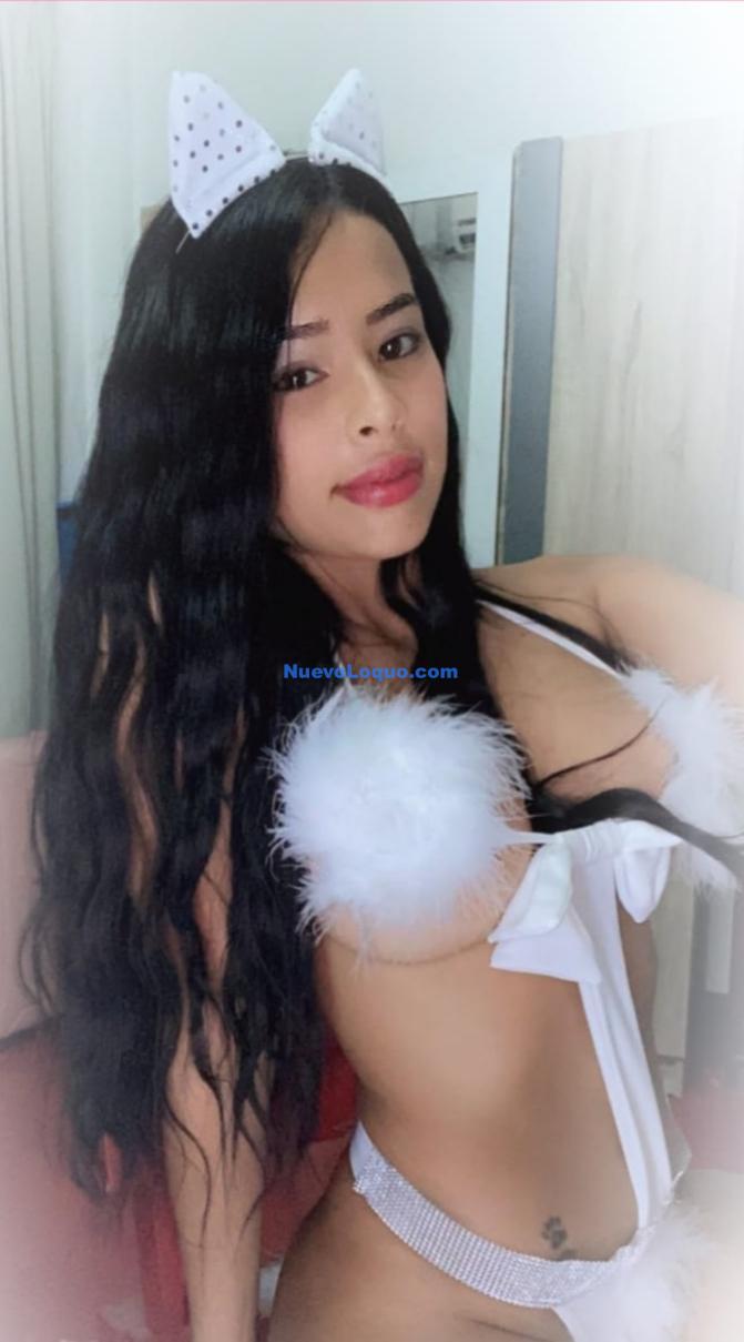 NuevoLoquo2
