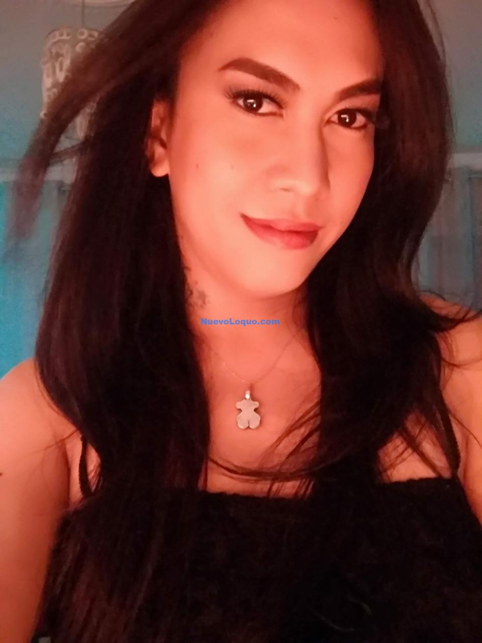 NuevoLoquo2