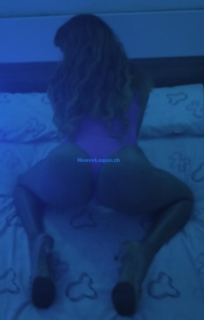 NuevoLoquo3