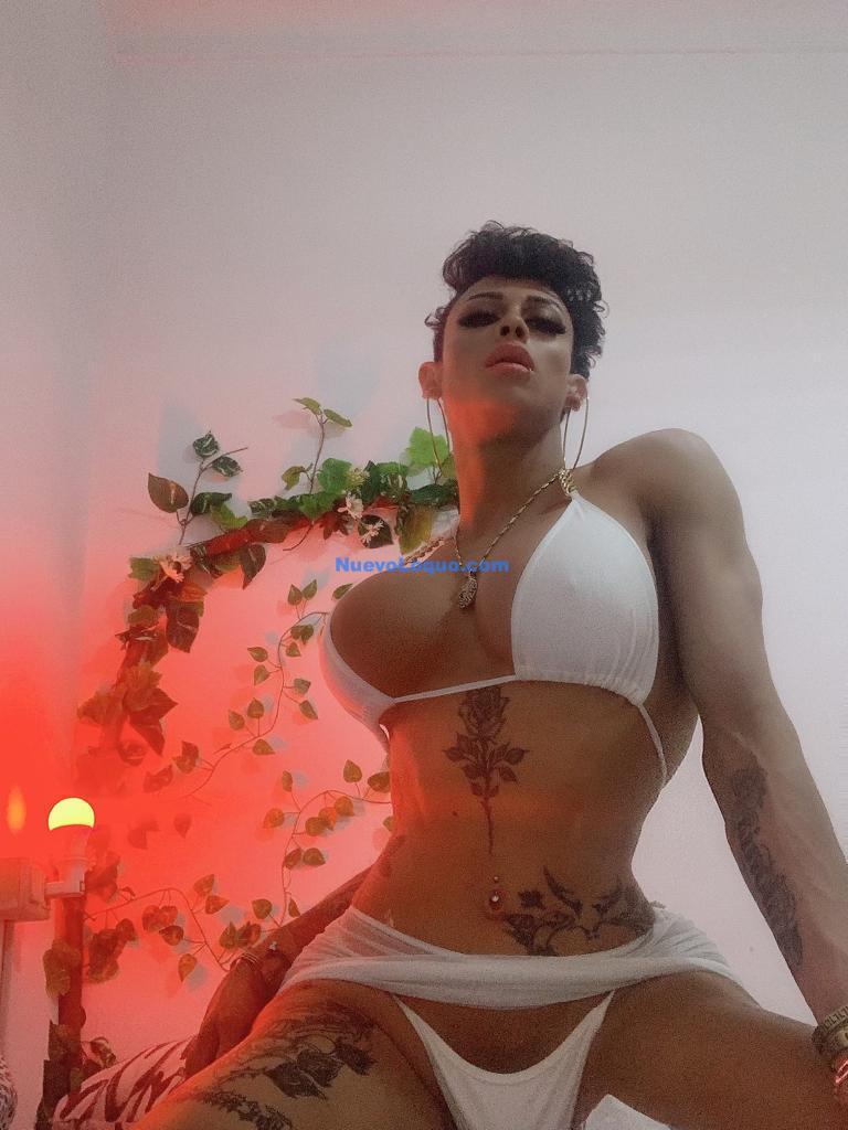NuevoLoquo0