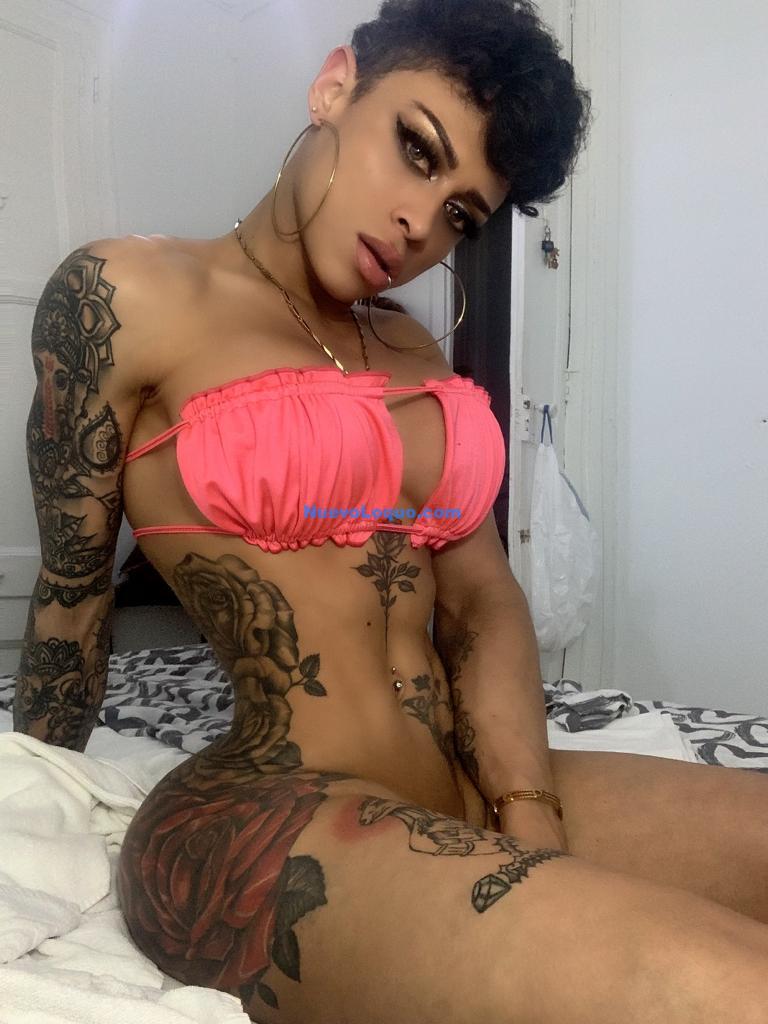 NuevoLoquo3