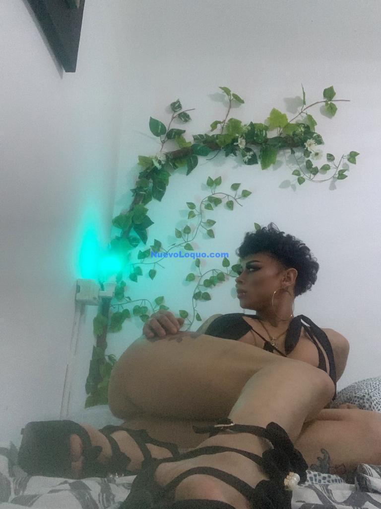 NuevoLoquo4