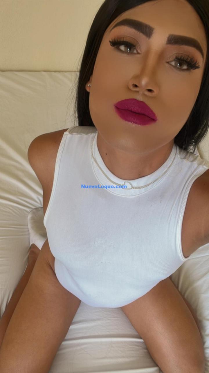 NuevoLoquo4