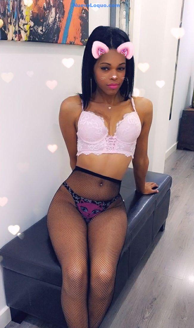 NuevoLoquo4