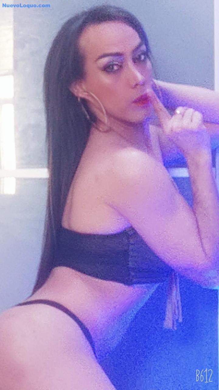 NuevoLoquo3