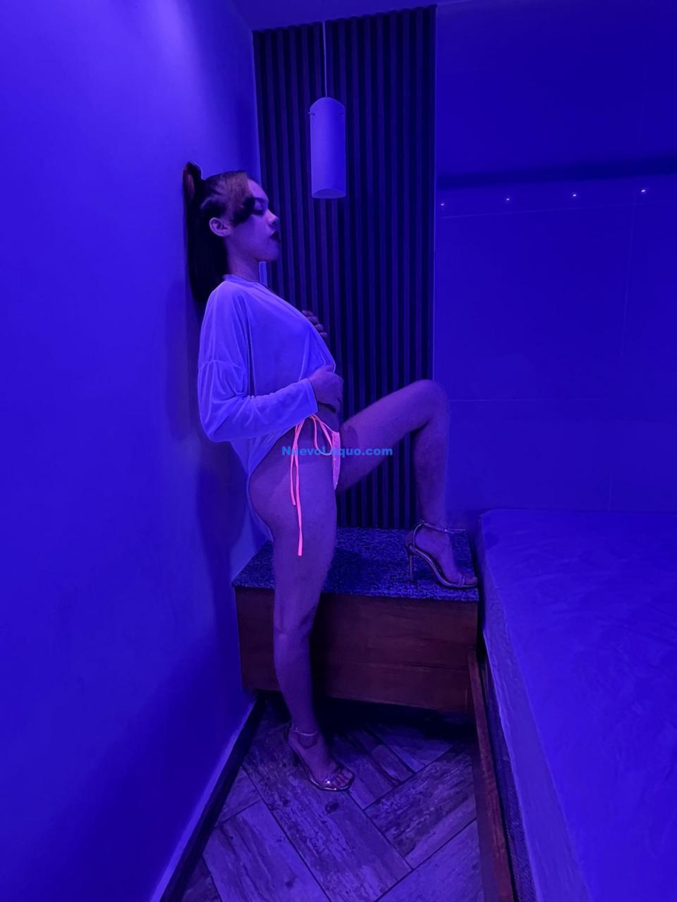 NuevoLoquo3