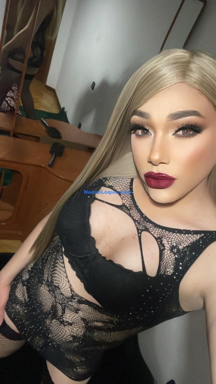 NuevoLoquo3