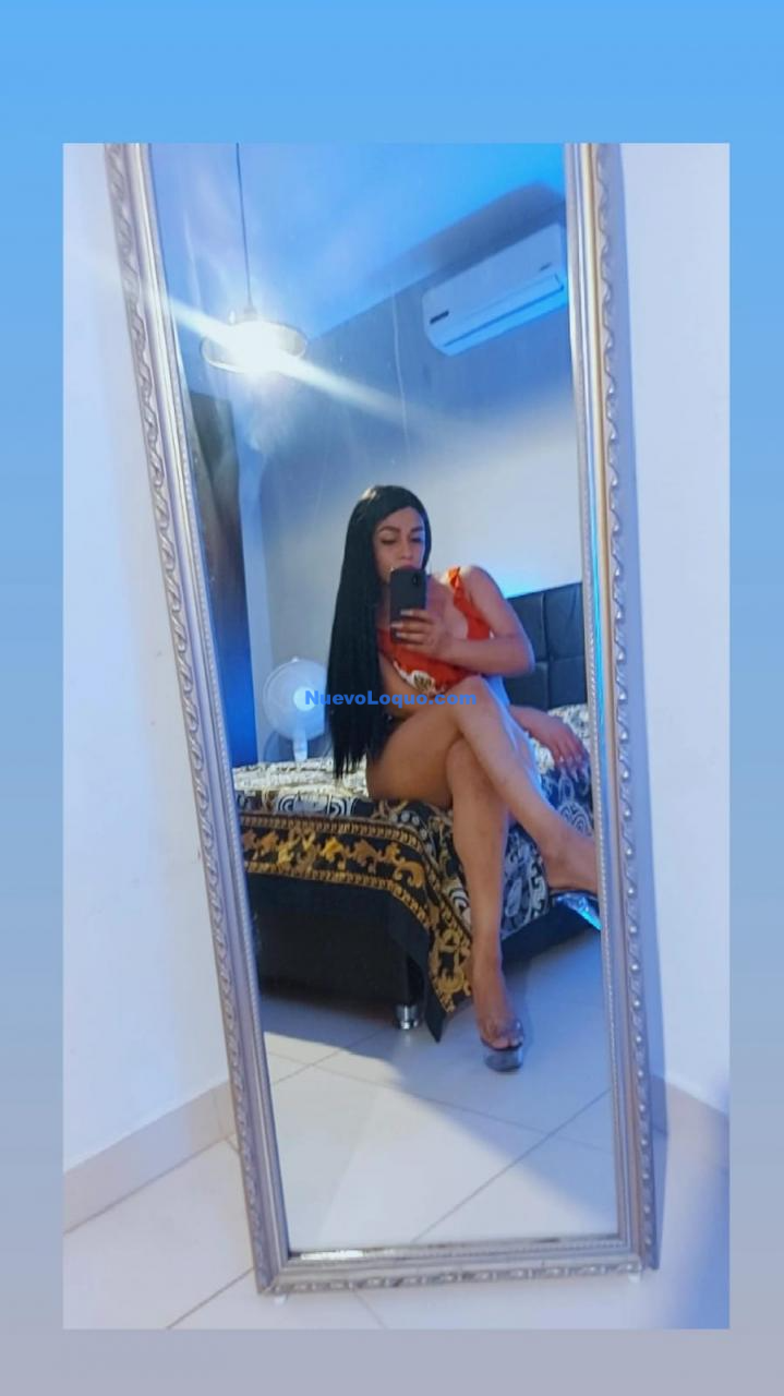 NuevoLoquo3