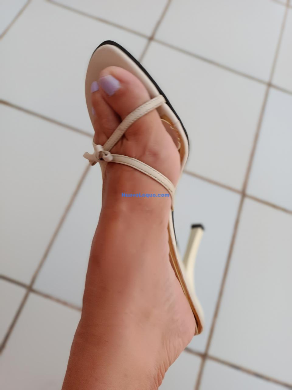 NuevoLoquo4