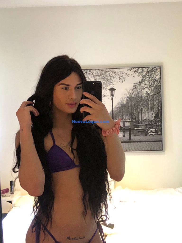 NuevoLoquo3