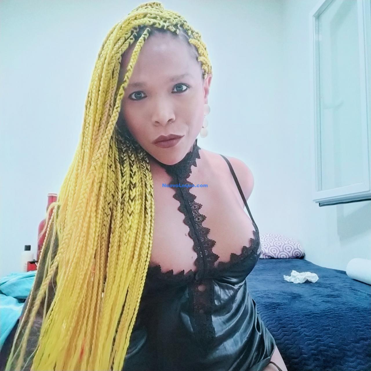 NuevoLoquo3