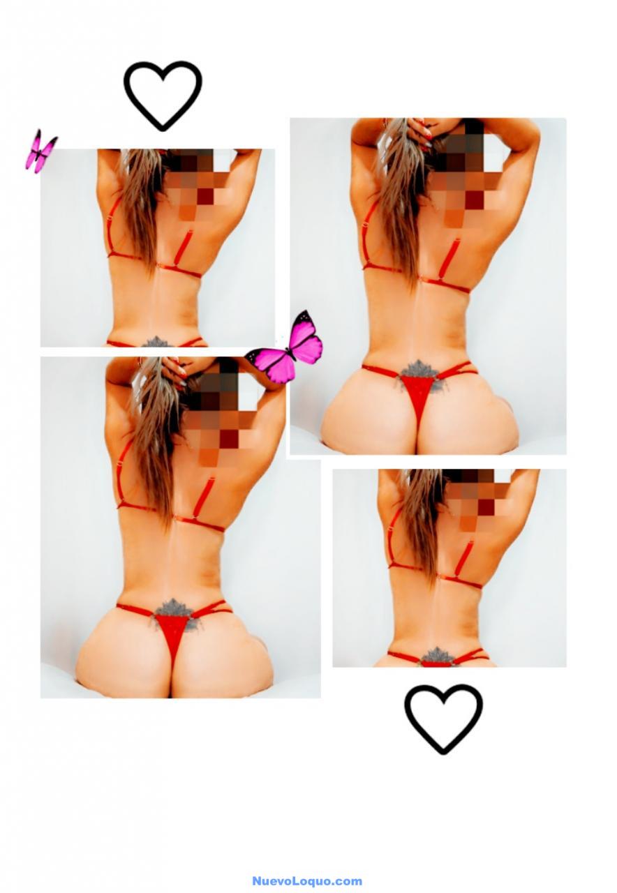NuevoLoquo3