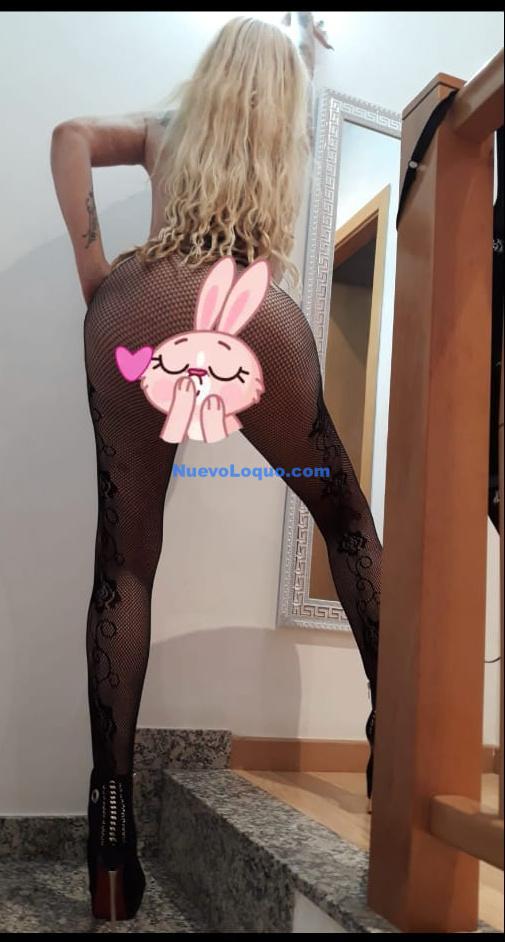 NuevoLoquo2