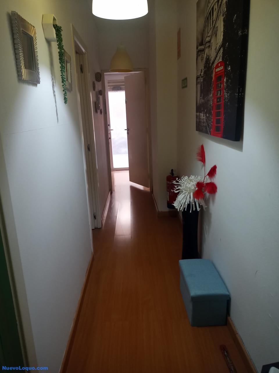 NuevoLoquo3