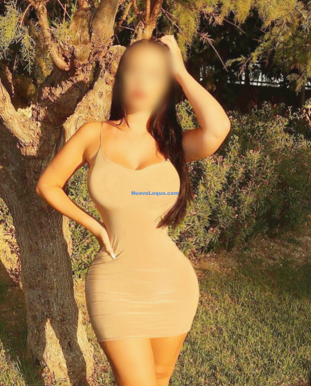 NuevoLoquo3
