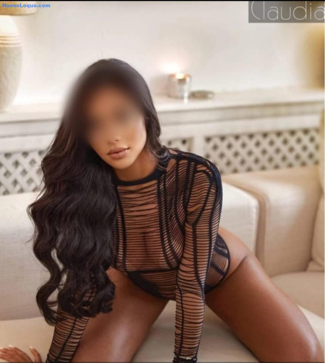 NuevoLoquo3