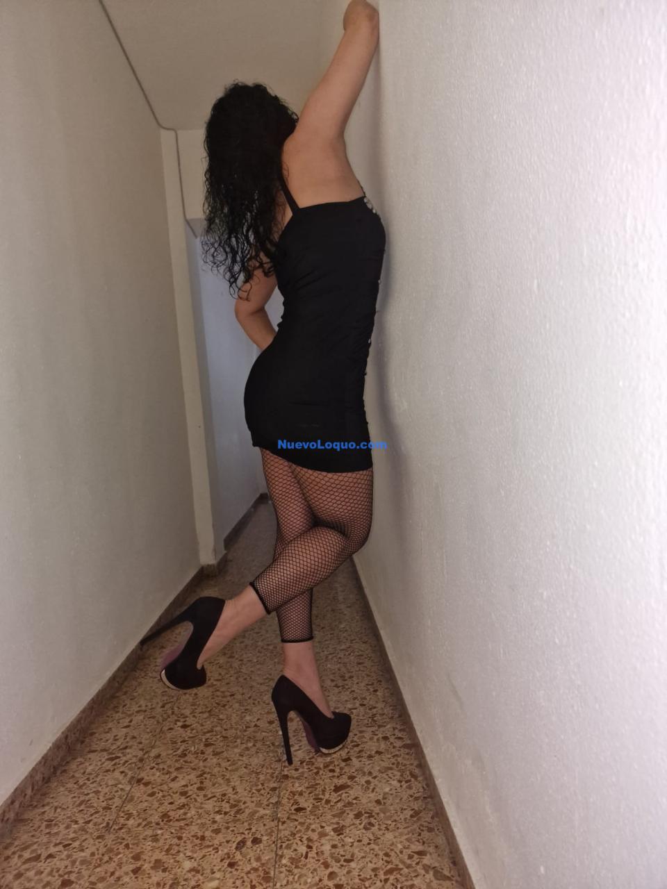 NuevoLoquo1
