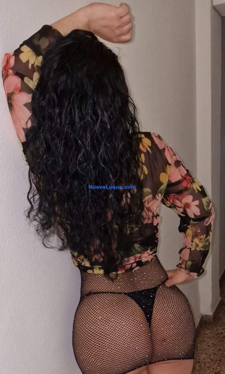 NuevoLoquo3
