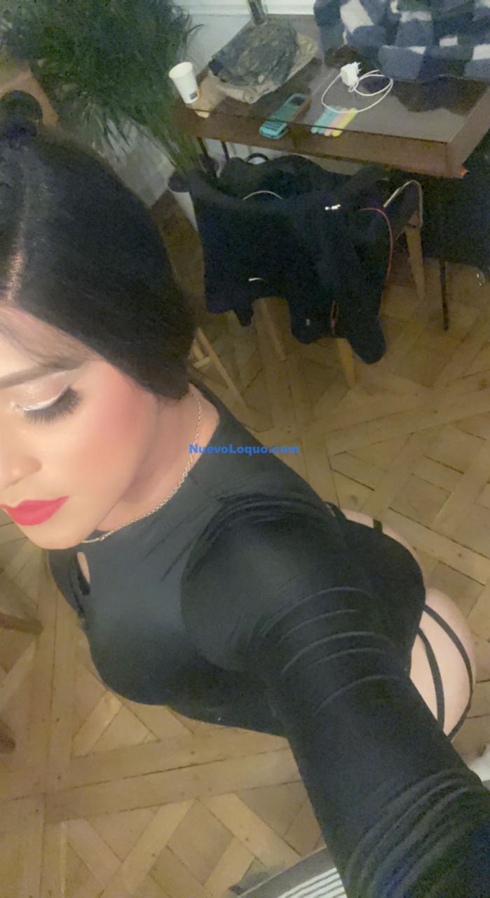 NuevoLoquo5