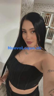 NuevoLoquo1