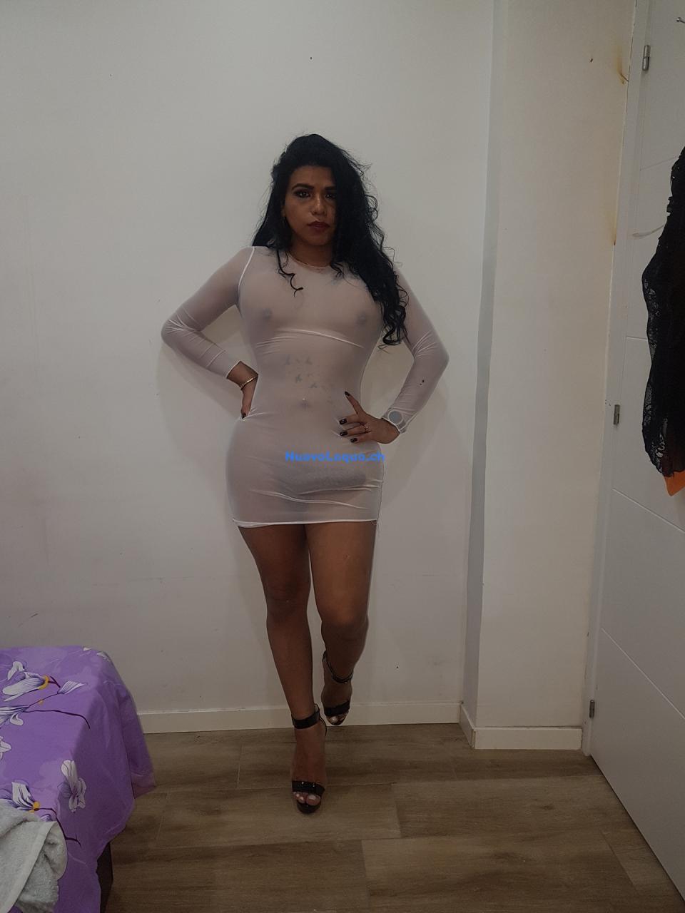 NuevoLoquo2