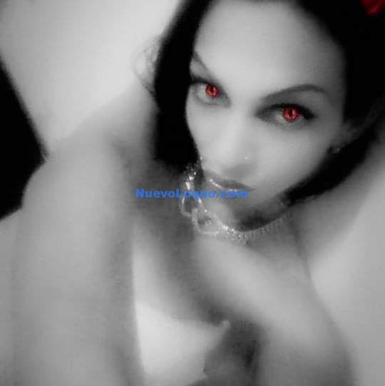 NuevoLoquo4