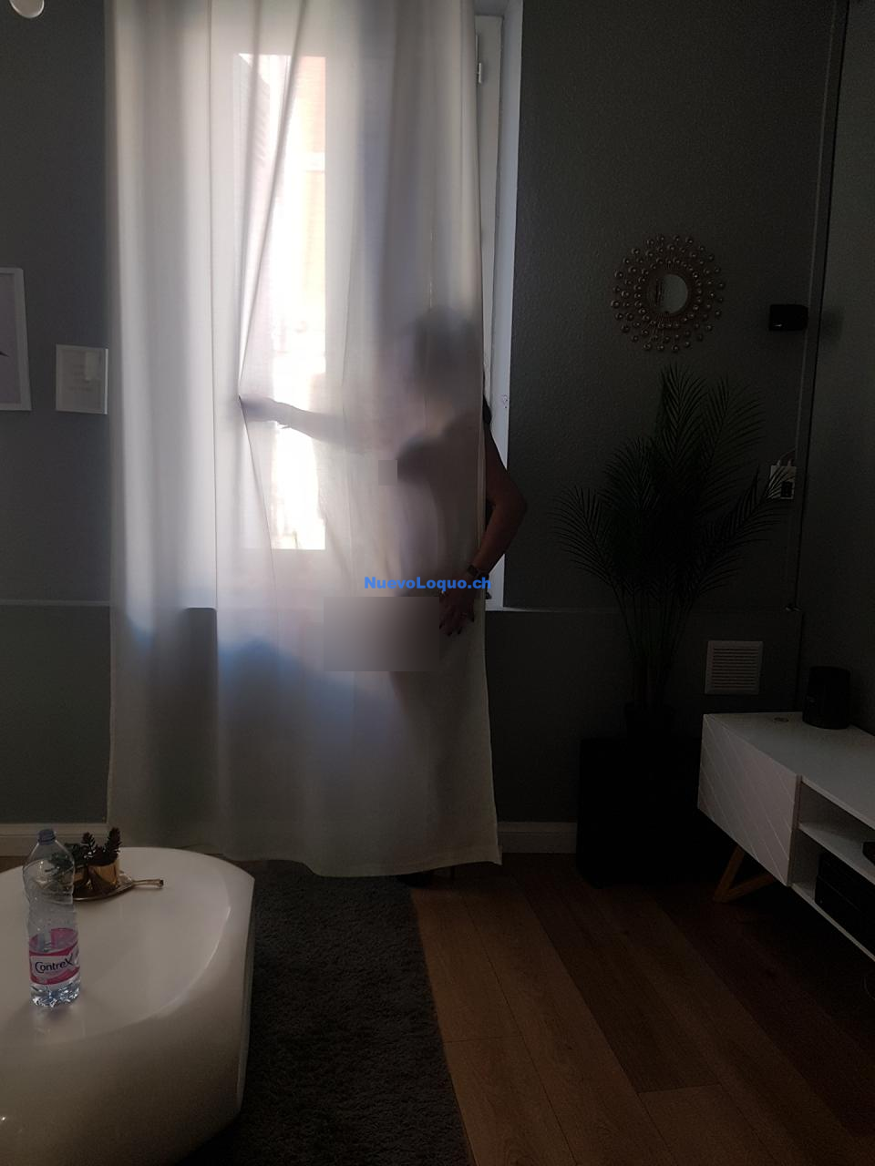NuevoLoquo3