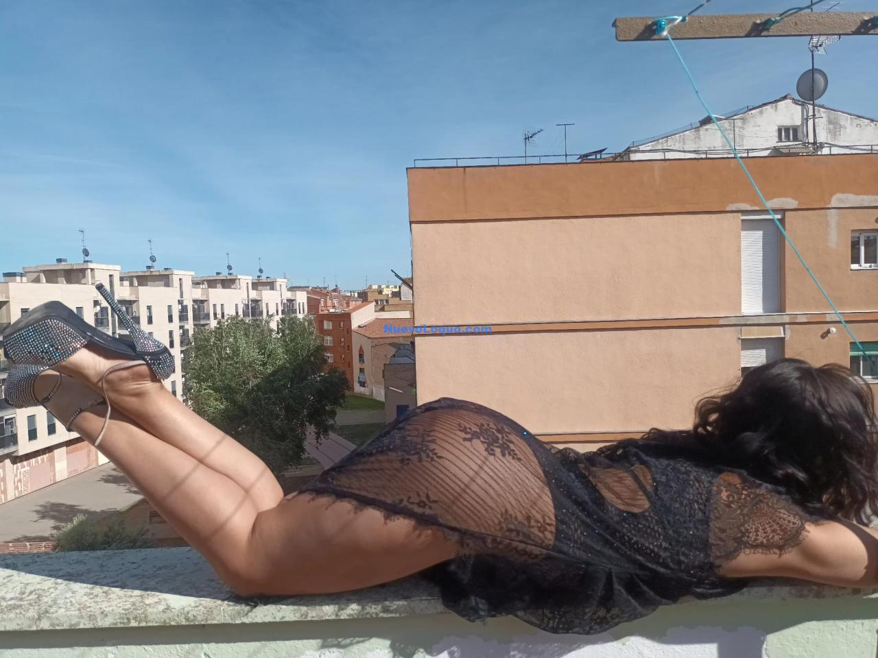 NuevoLoquo3
