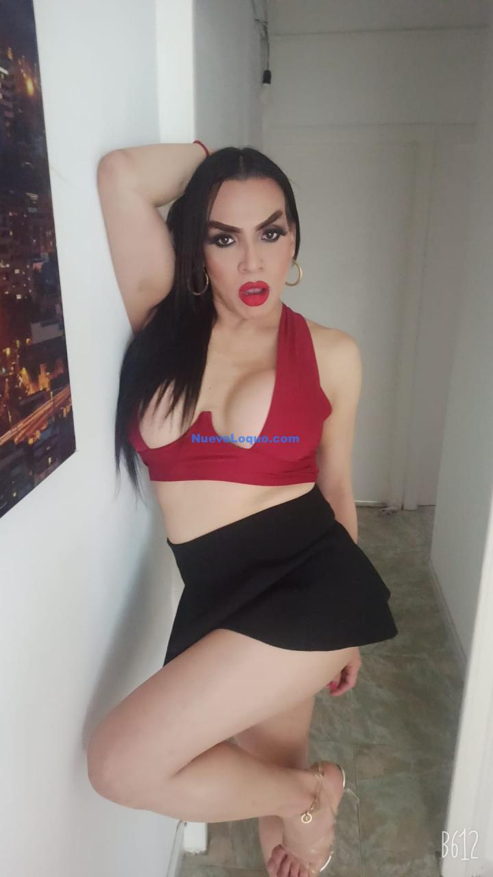NuevoLoquo1