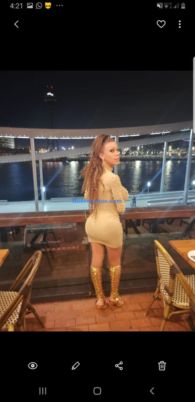 NuevoLoquo4