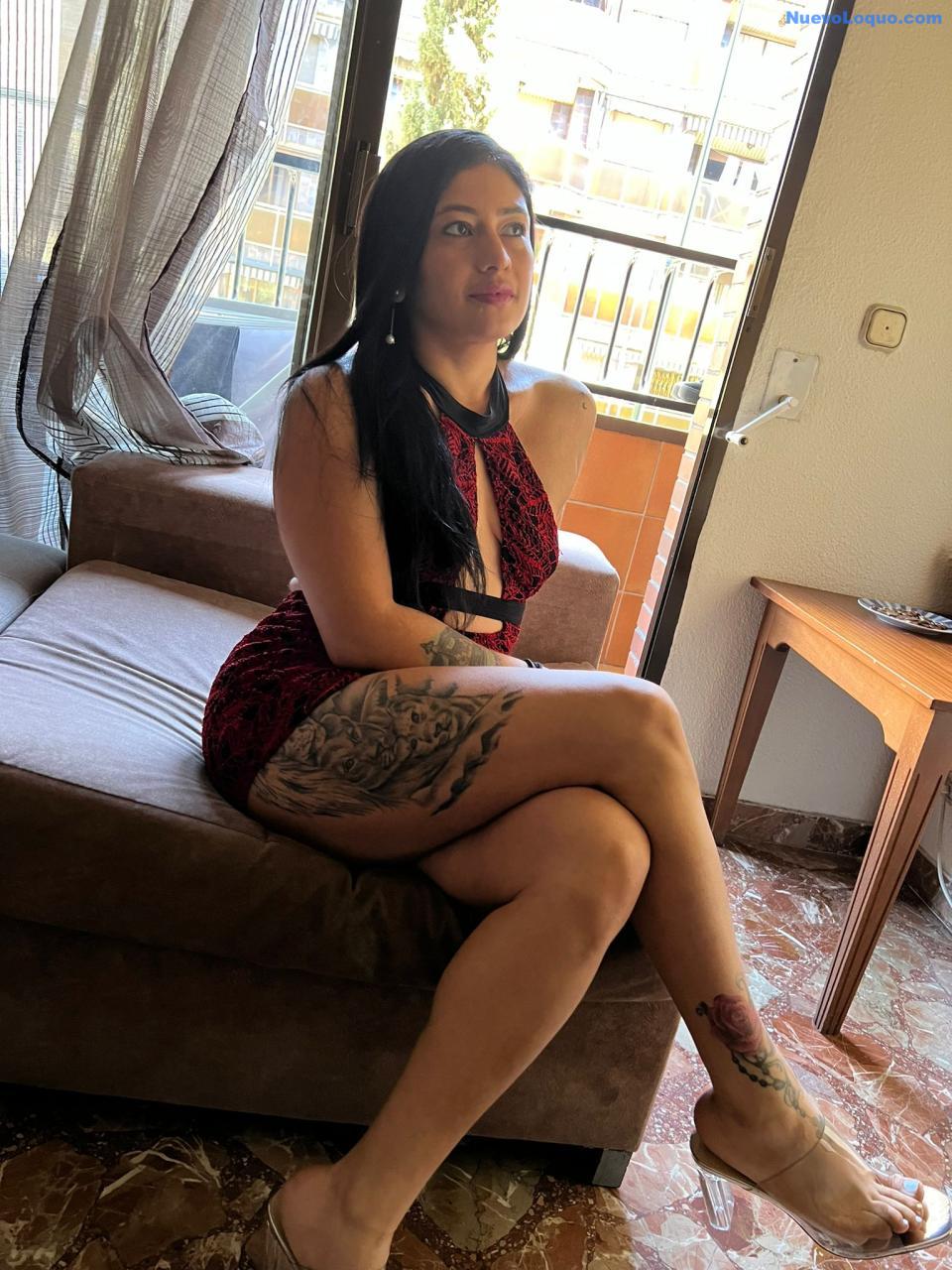 NuevoLoquo4