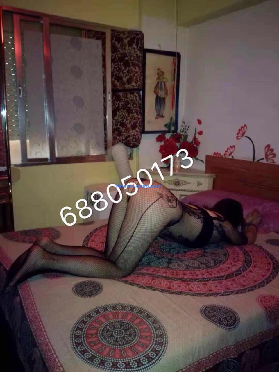 NuevoLoquo3