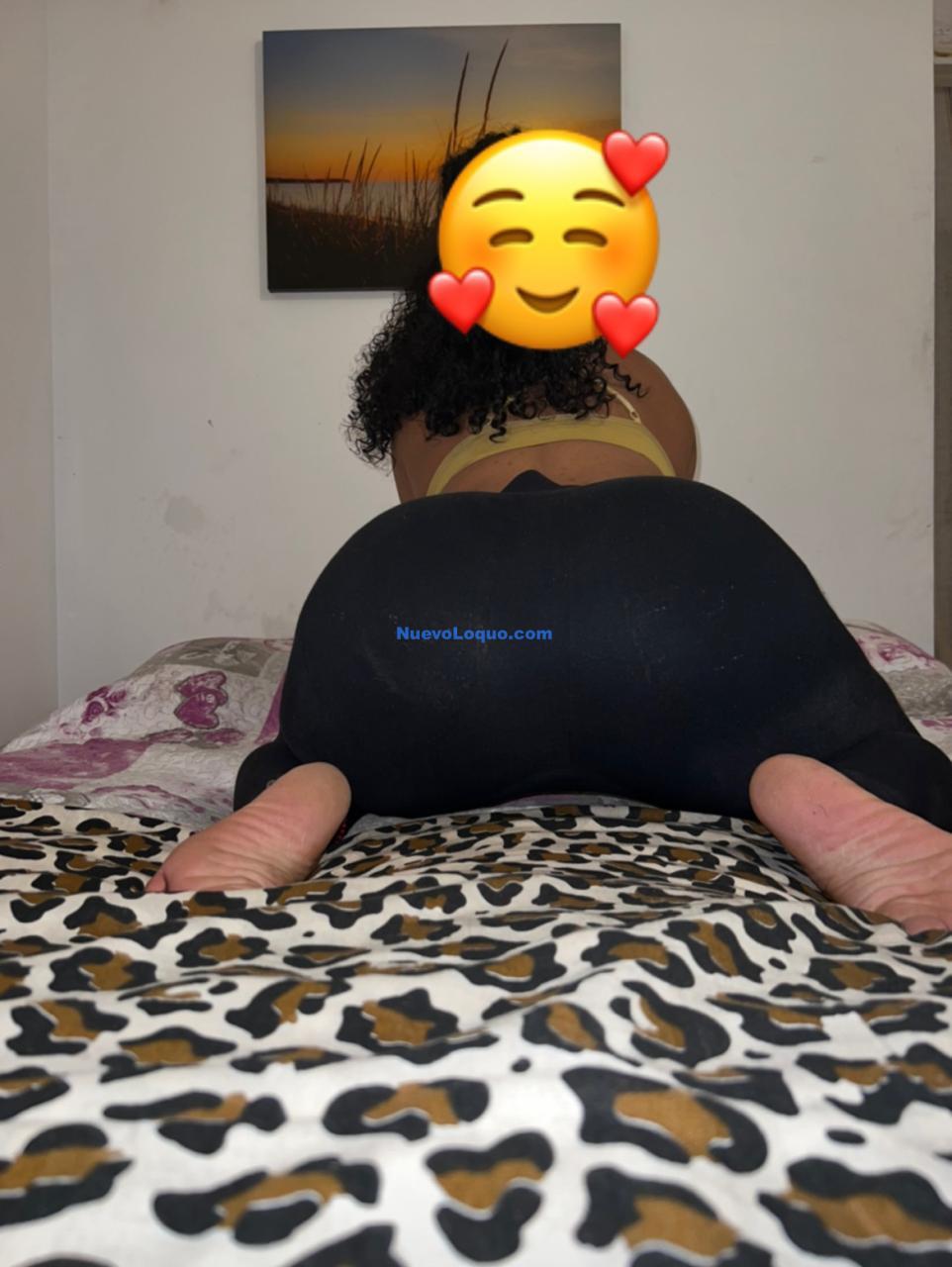 NuevoLoquo1