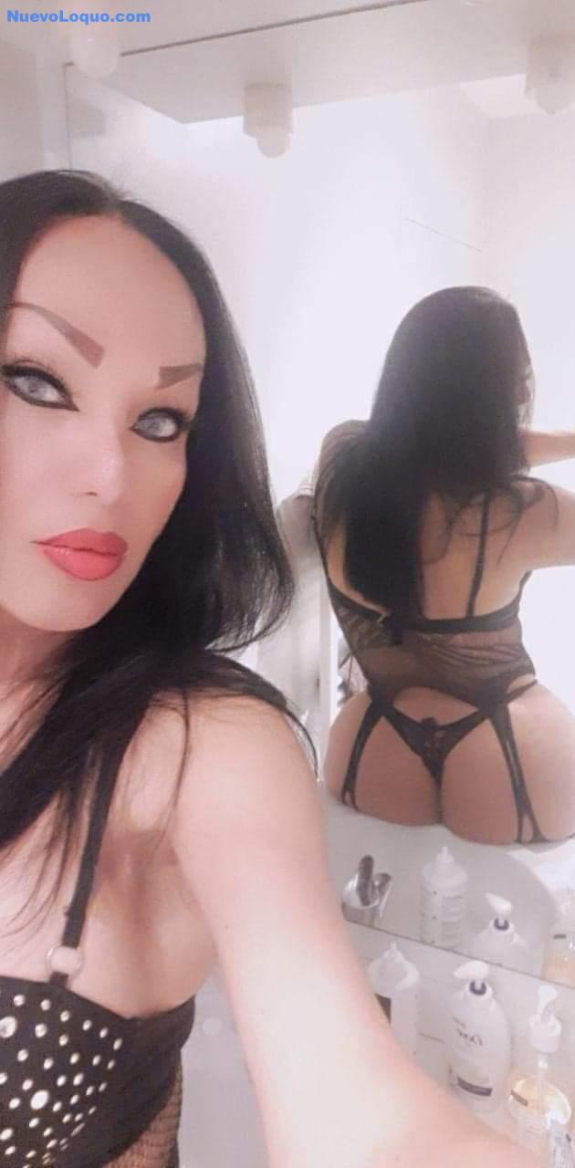 NuevoLoquo3