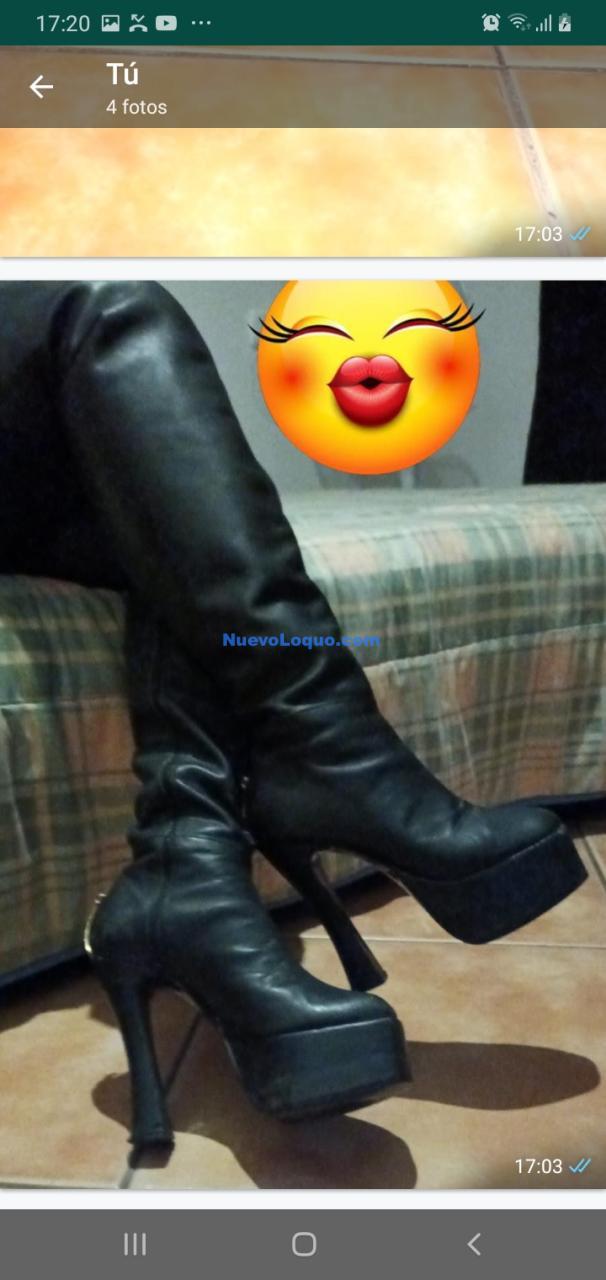 NuevoLoquo1