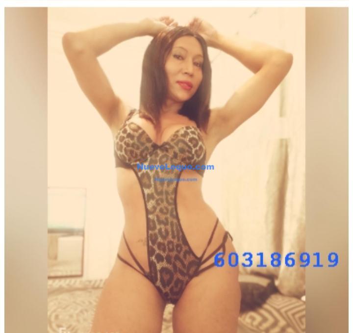NuevoLoquo2