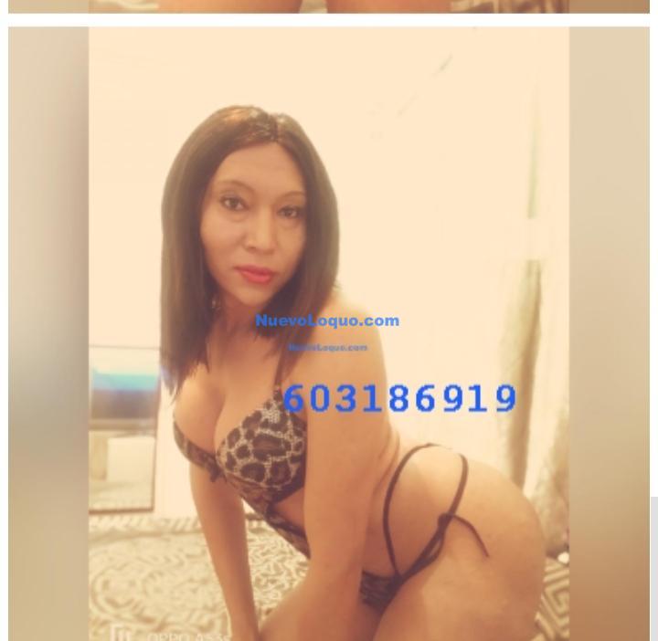 NuevoLoquo3