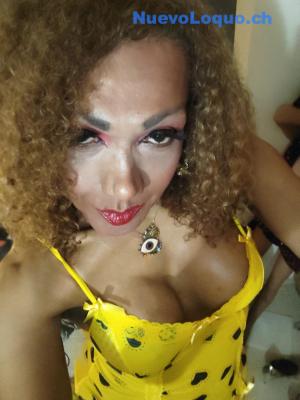 KELLY MULATA SENSUAL CAÑERA EXPERTA EN PRINCIPIANTES